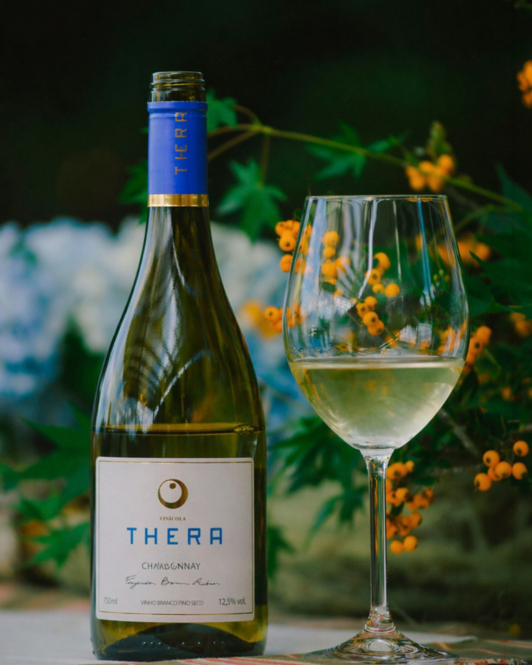 VINHOS-VINICOLA-THERA (5)